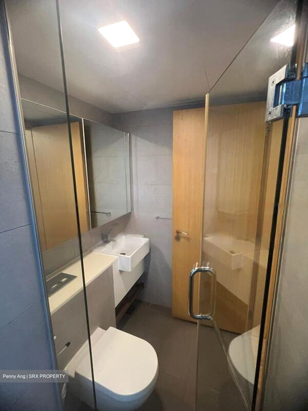 Eight Riversuites (D12), Condominium #556328431